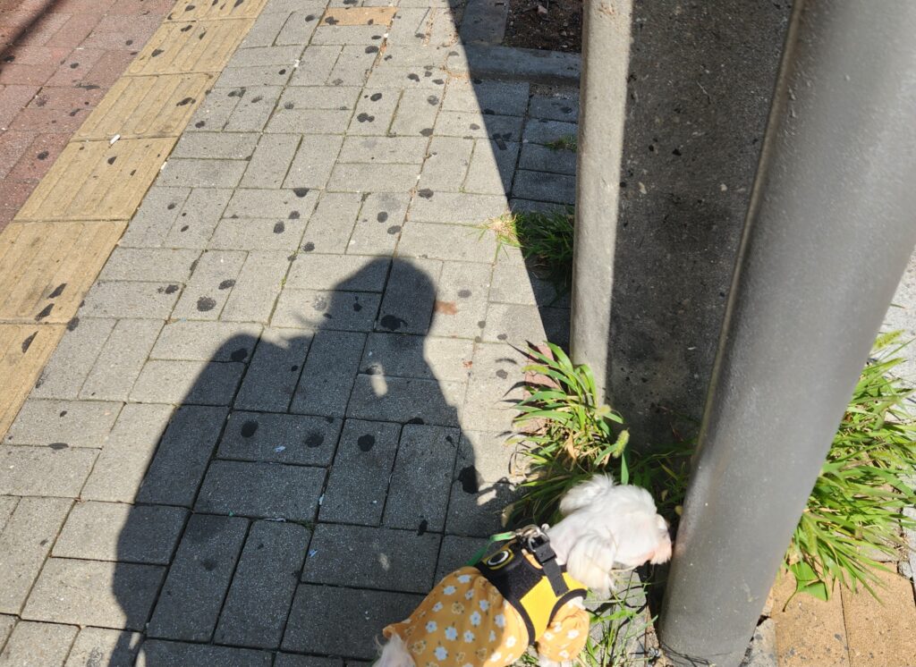 40대 임신 초기 불안